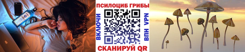 Купить закладки  Палласовка  Псилоцибиновые грибы Psilocybe 